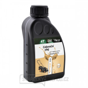 Celoročný olej Riwall pre 4-taktné motory (0.6l, SAE10W-30) gallery main image