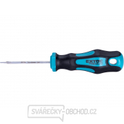 Skrutkovač TORX, TTa30x100mm, CrV gallery main image