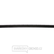 IGM Carbon FORCE REGULAR Pilový pás 1575mm - 8 x 0,65mm 10TPi Náhled