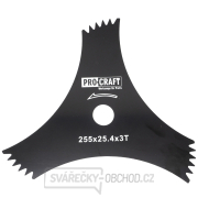 Nůž křovinořezu (D255*25.4) 3T (DRAGON) PROCRAFT | H-3T/D gallery main image