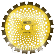 Nůž křovinořezu (kotouč) (D255*25.4) 40Т  (oboustranný) (gold) PROCRAFT | H/P-2/G gallery main image